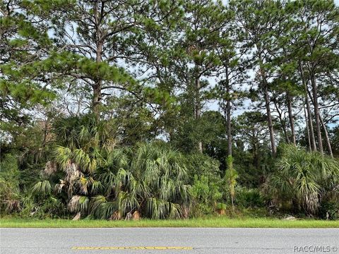 Vacant Land For Sale - 7860 W Homosassa Trail<br/> Homosassa, FL 34448