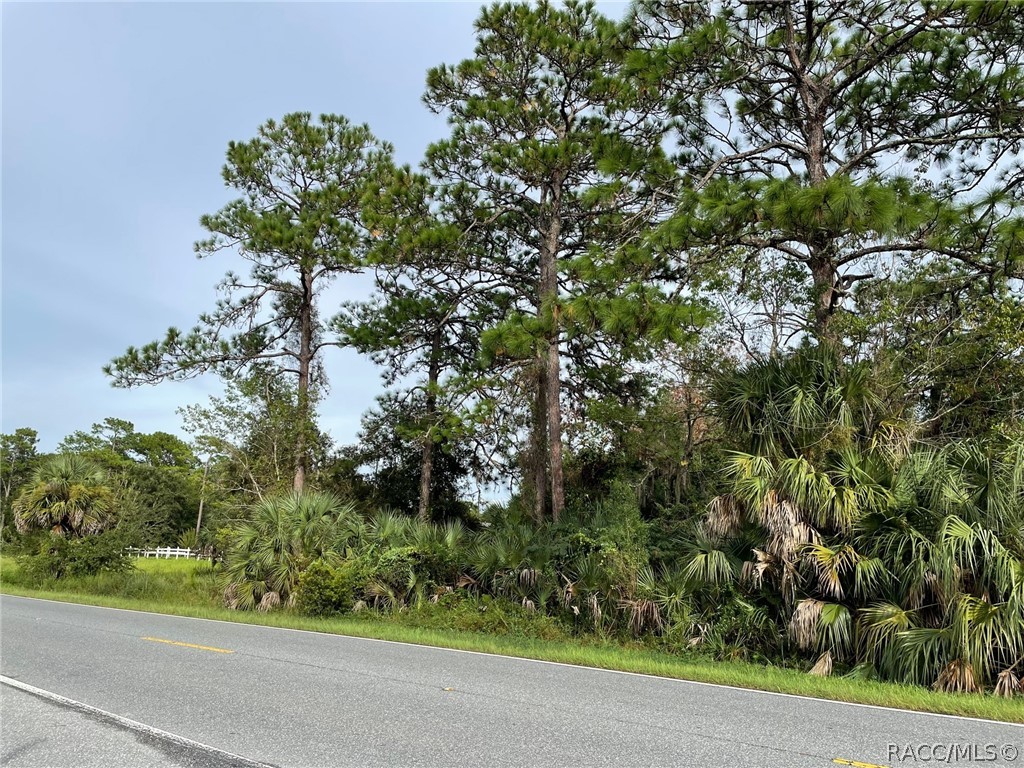 7860 W Homosassa Trail, Homosassa, Florida image 9