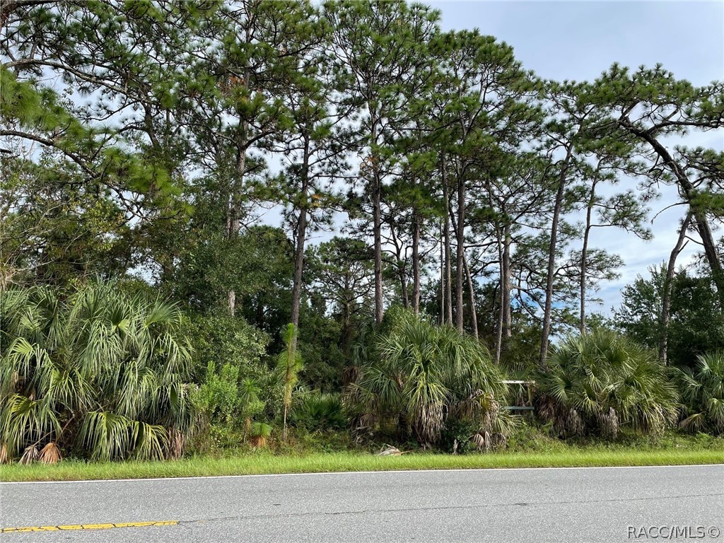 7860 W Homosassa Trail, Homosassa, Florida image 4