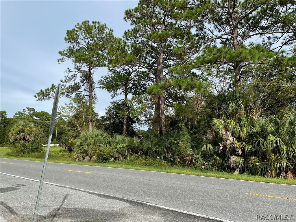7860 W Homosassa Trail, Homosassa, Florida image 3