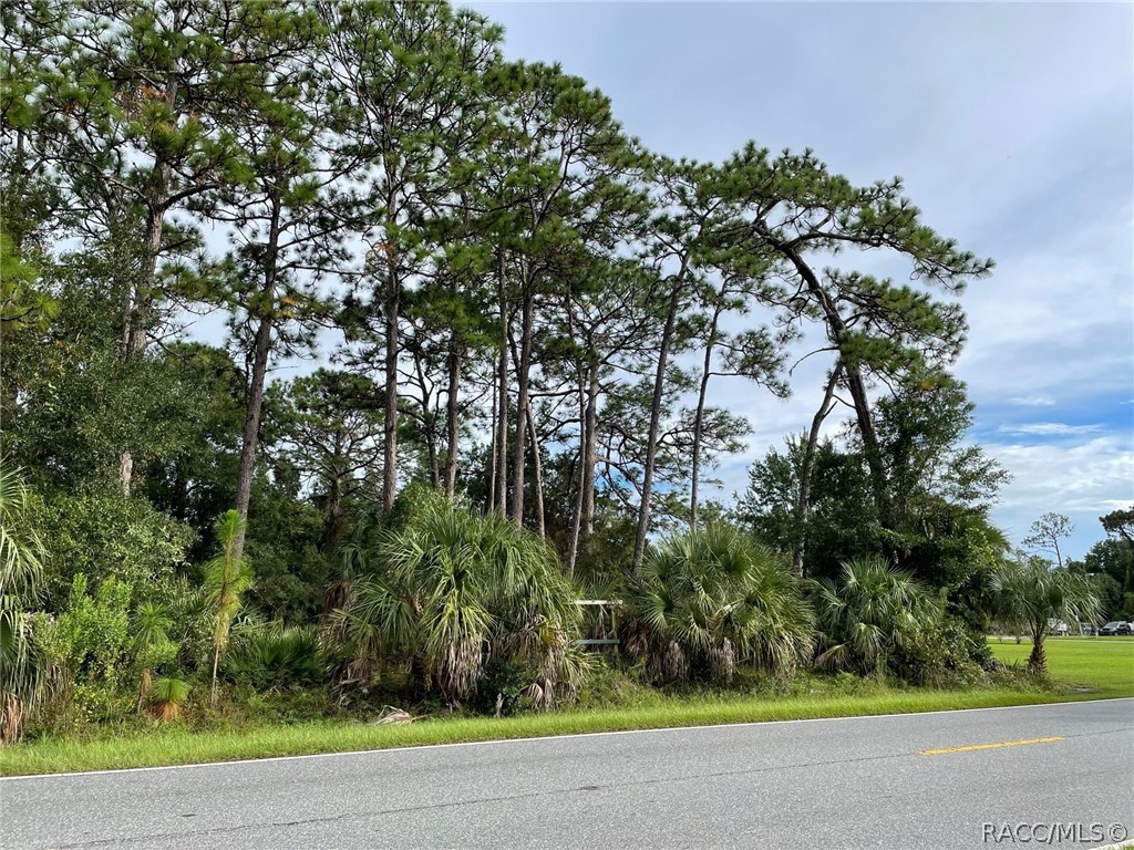 7860 W Homosassa Trail, Homosassa, Florida image 5