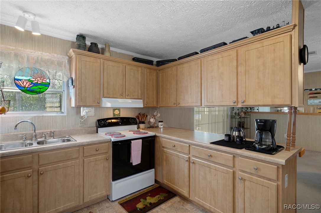 8380 W Milo Court, Homosassa, Florida image 15