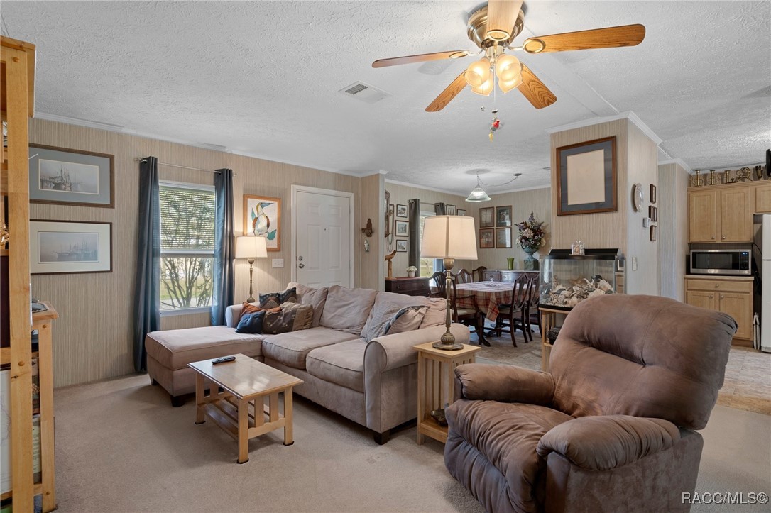 8380 W Milo Court, Homosassa, Florida image 10