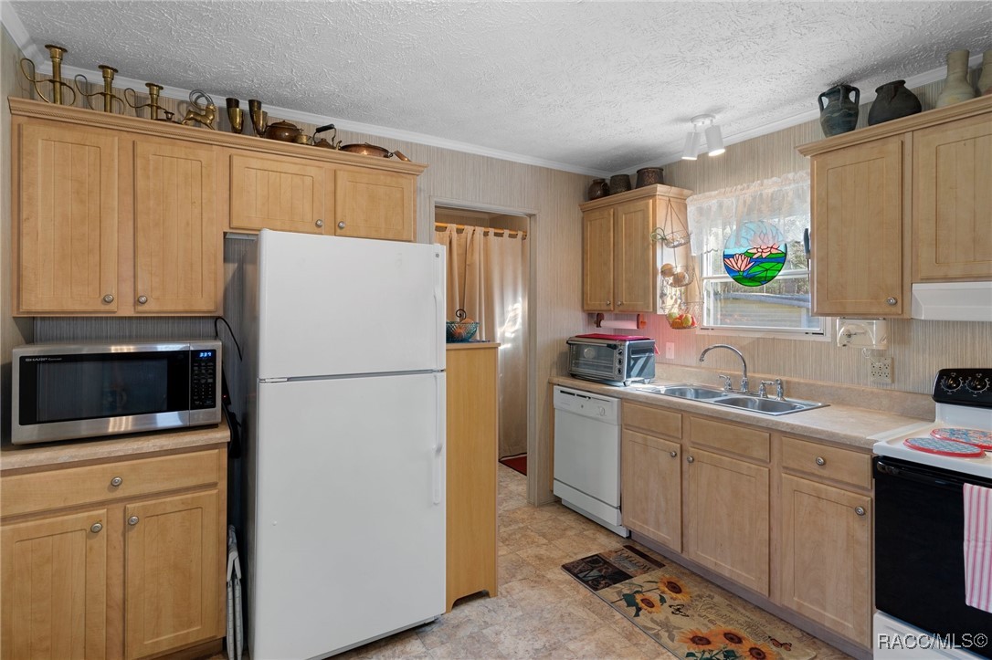 8380 W Milo Court, Homosassa, Florida image 16