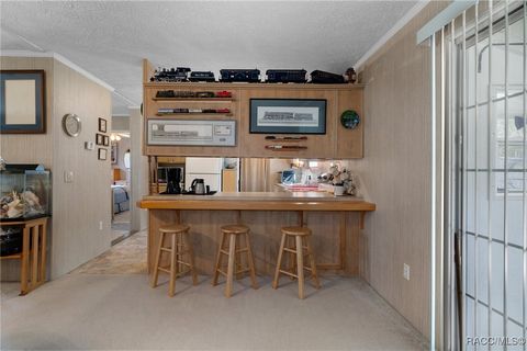 A home in Homosassa