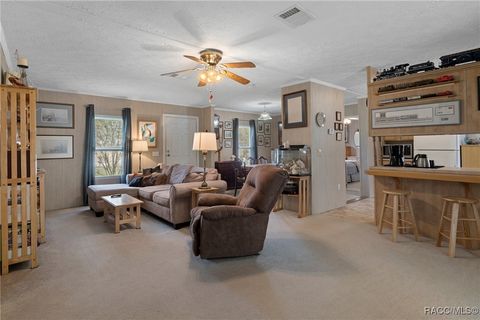 A home in Homosassa