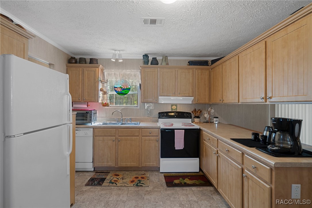 8380 W Milo Court, Homosassa, Florida image 14