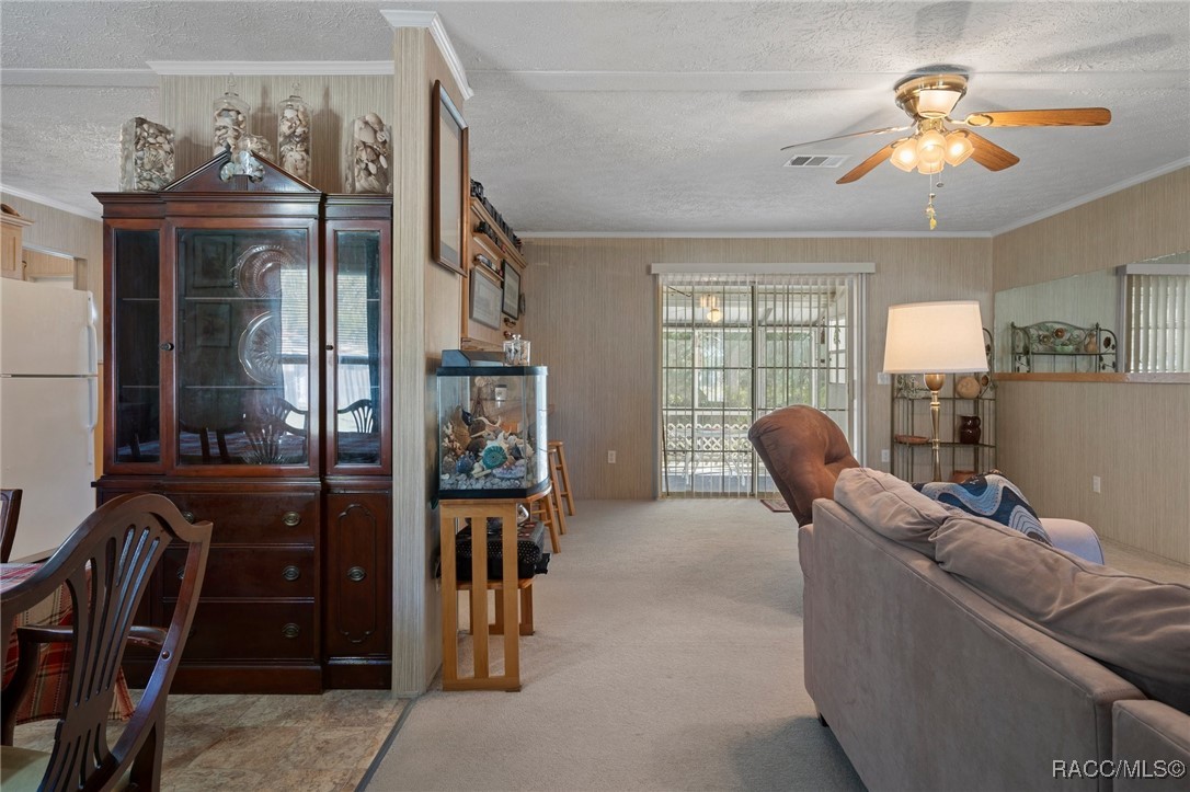 8380 W Milo Court, Homosassa, Florida image 6