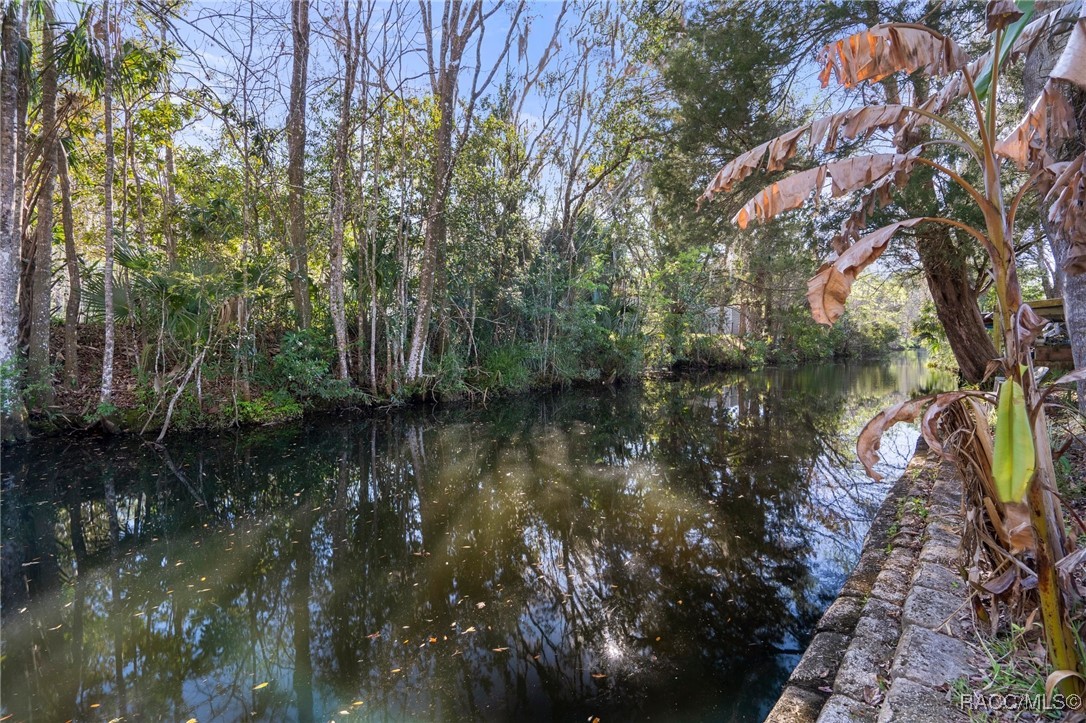 8380 W Milo Court, Homosassa, Florida image 45