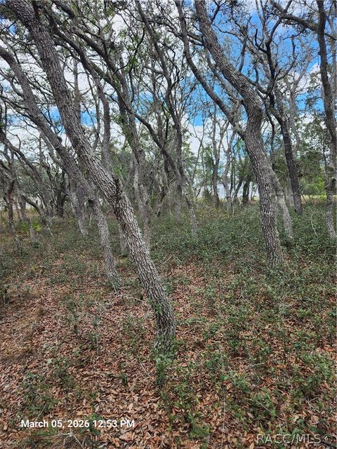 Vacant Land For Sale - 5686 Butan Point<br/> Homosassa, FL 34446
