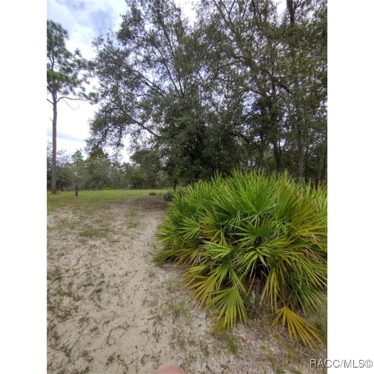 8486 N Calcutta Avenue, Dunnellon, New York image 4
