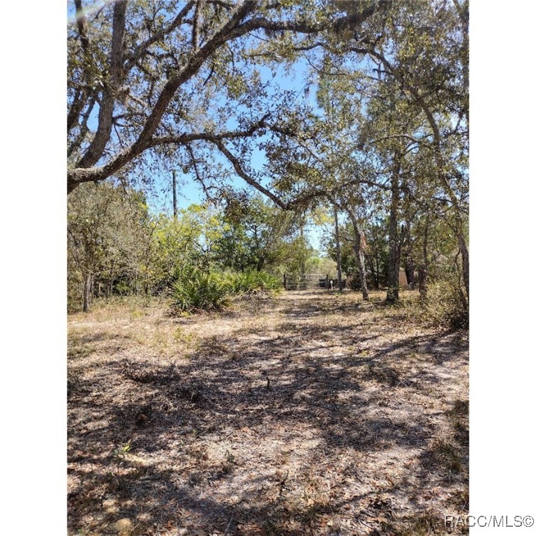 8486 N Calcutta Avenue, Dunnellon, New York image 2