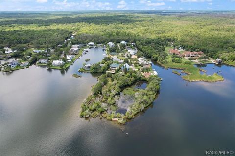 1196 N Stoney Point Crystal River FL 34429