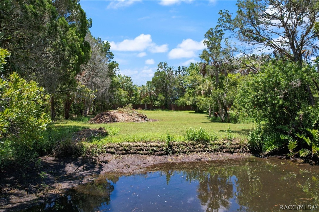 1196 N Stoney Point, Crystal River, Florida image 22