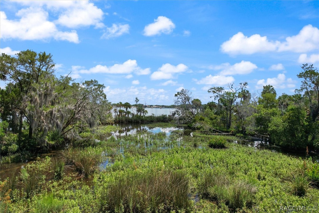 1196 N Stoney Point, Crystal River, Florida image 12