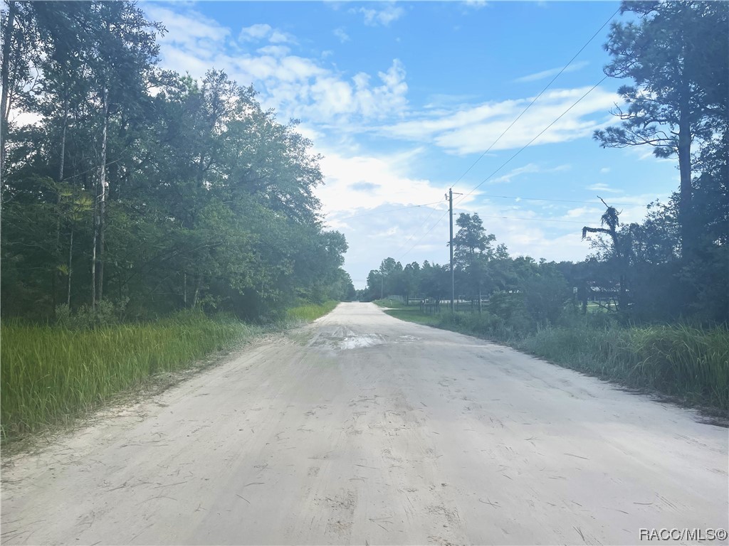 6593 N Velveteen Point, Dunnellon, Florida image 9