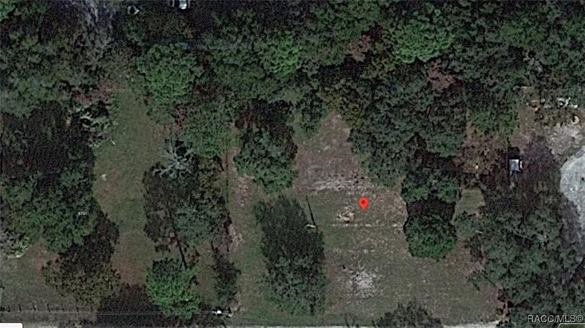 6675 W Seville Court, Crystal River, Florida image 1