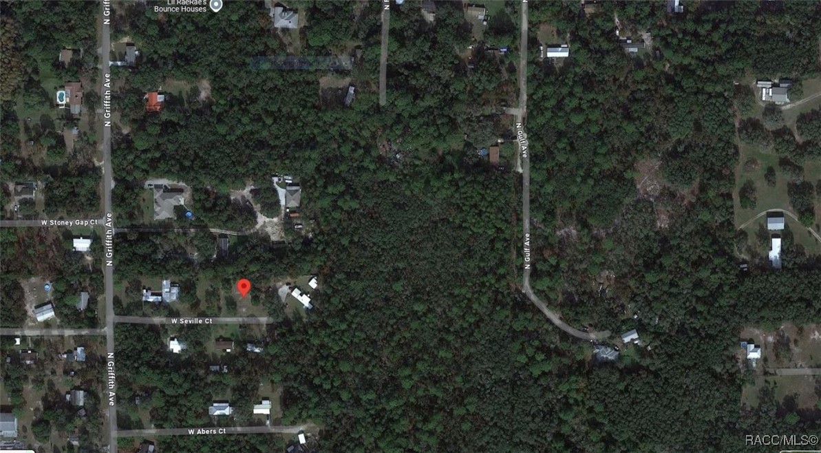 6675 W Seville Court, Crystal River, Florida image 2