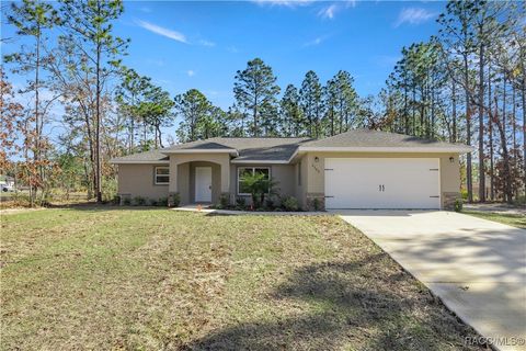 2300 W Elmore Loop Citrus Springs FL 34434