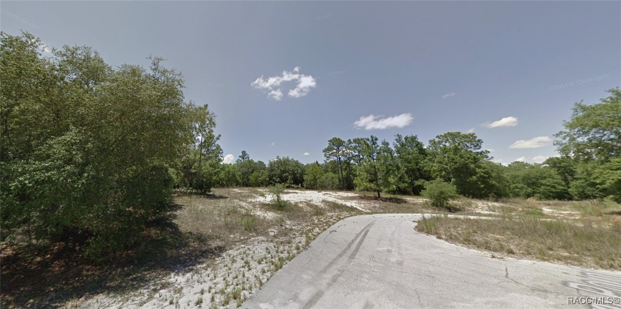 9154 N Dory Point, Citrus Springs, New York image 2