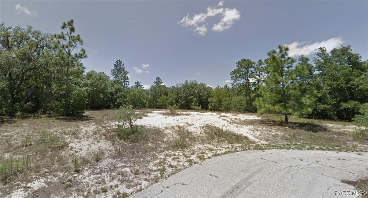9154 N Dory Point, Citrus Springs, New York image 3