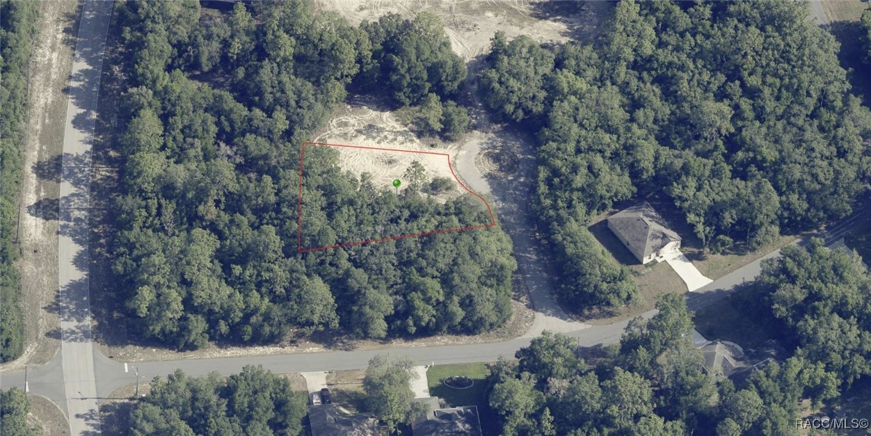 9154 N Dory Point, Citrus Springs, New York image 1