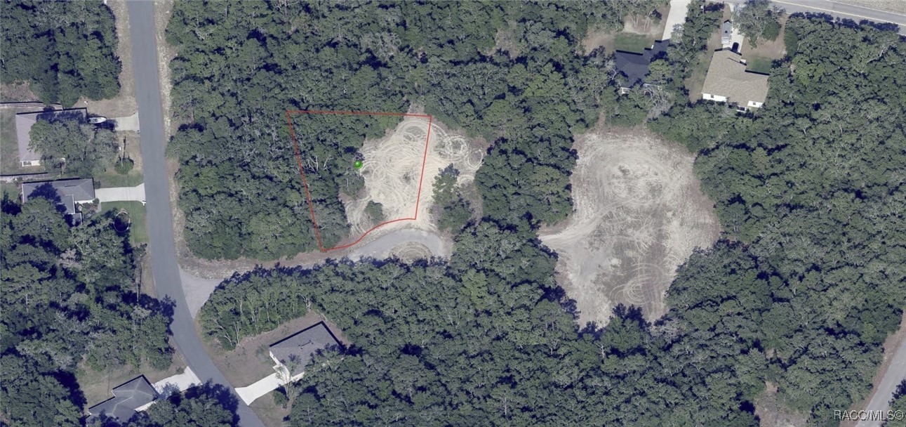 9154 N Dory Point, Citrus Springs, New York image 4