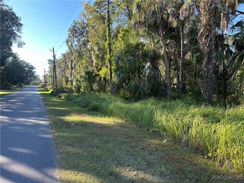 6291 W Arter Street Crystal River FL 34429