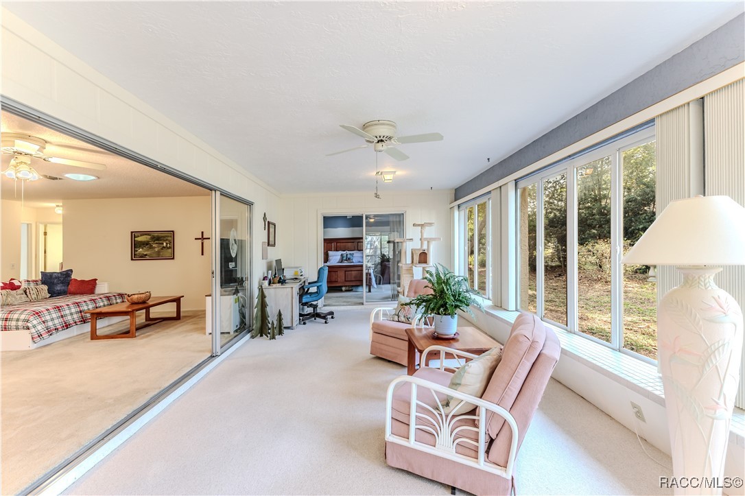 6172 Prestwick Court, Spring Hill, New York image 32
