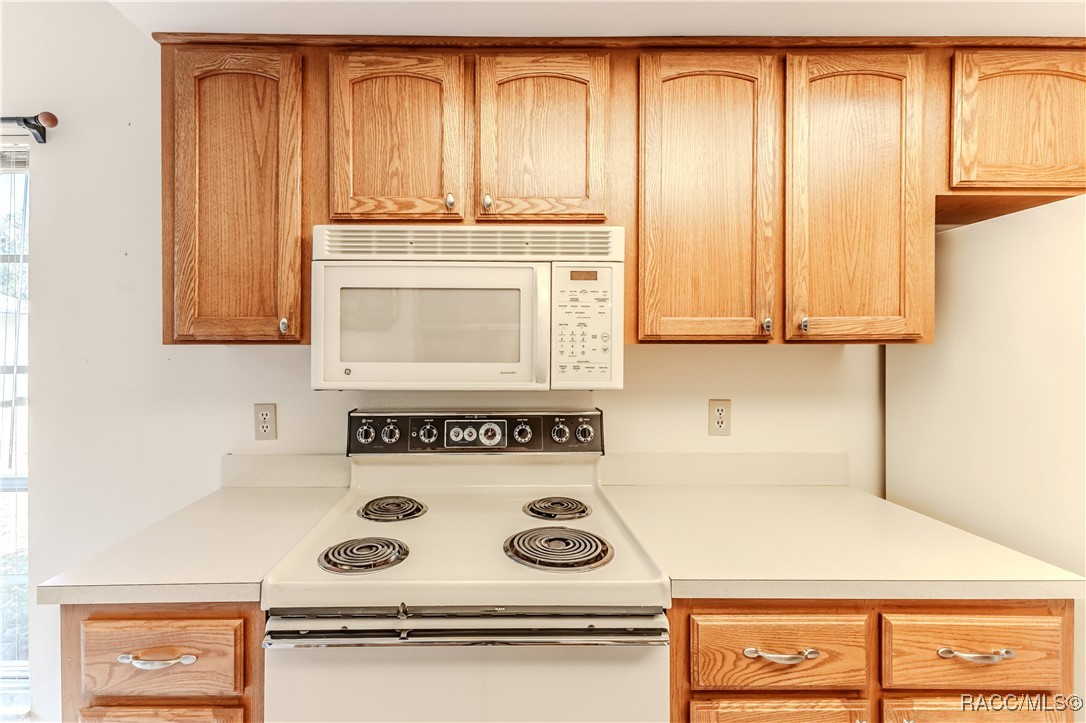 6172 Prestwick Court, Spring Hill, New York image 18