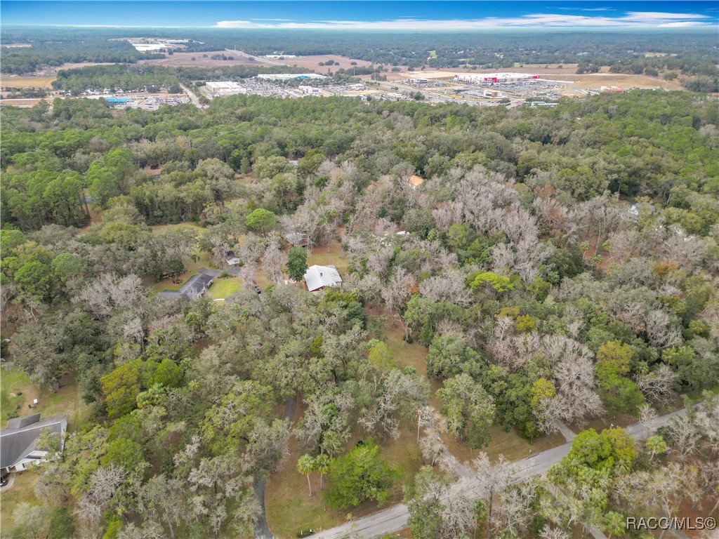 1740 N Squirrel Tree Avenue, Lecanto, Florida image 8