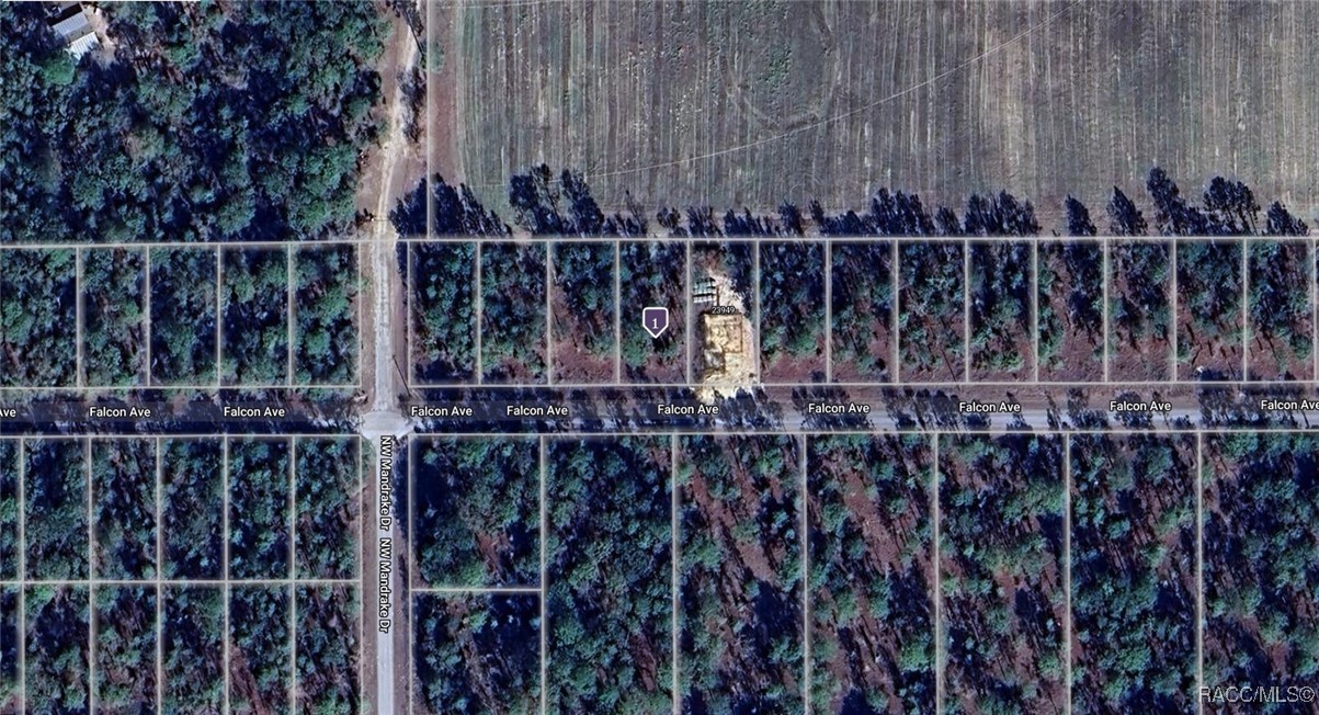 1814-024-004 NW Falcon Avenue, Dunnellon, Florida image 1