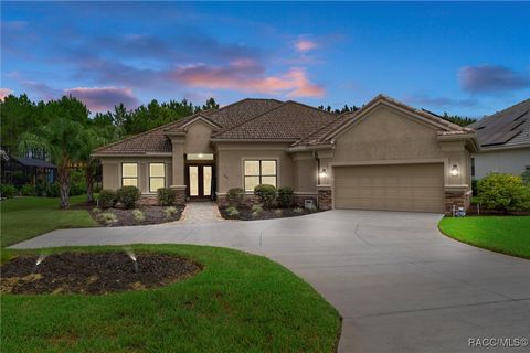 1077 N Hunt Club Drive Hernando FL 34442