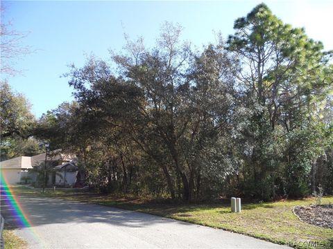 Vacant Land For Sale - 10 Impatiens Court<br/> Homosassa, FL 34446