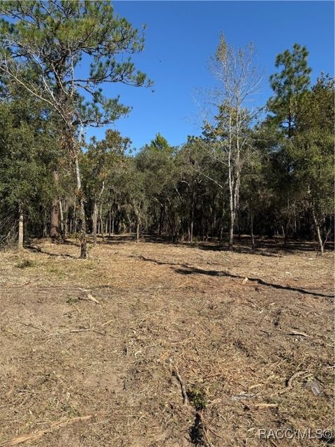 Vacant Land For Sale - 559 E Gulf To Lake Highway<br/> Lecanto, FL 34461