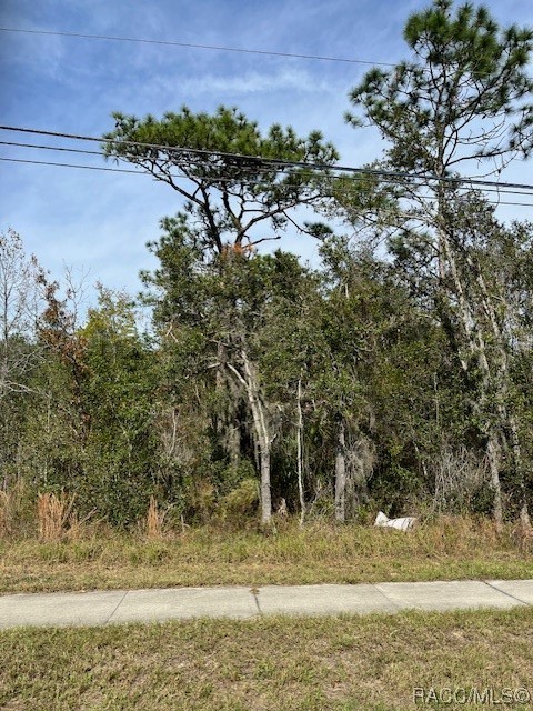 559 E Gulf To Lake Highway, Lecanto, Florida image 3