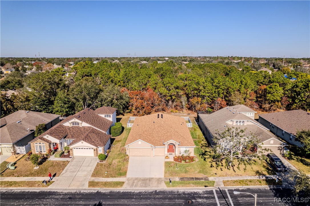 13793 Dunwoody Drive, Spring Hill, Florida image 9