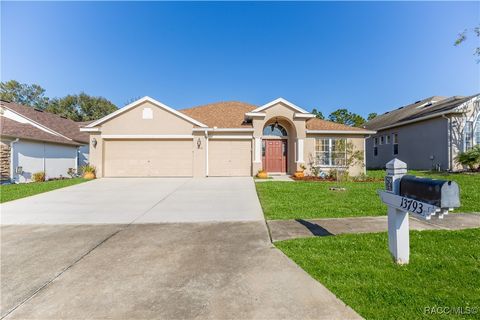 A home in Spring Hill