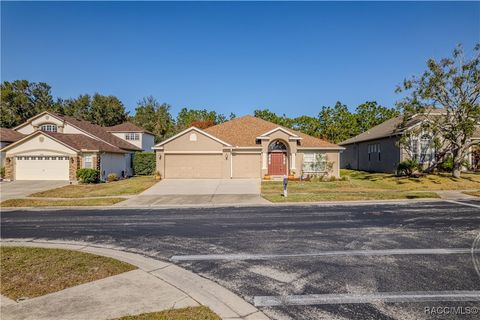 A home in Spring Hill