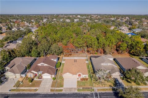 A home in Spring Hill