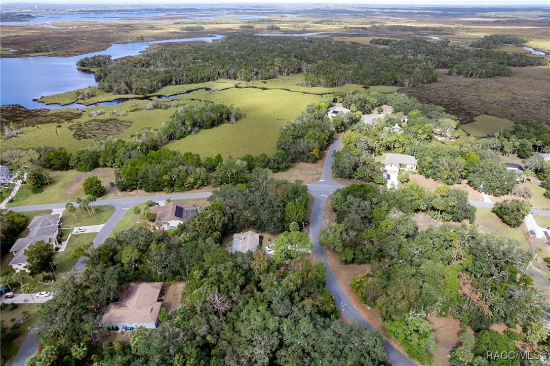 11860 W Fisherman Lane, Homosassa, New York image 23