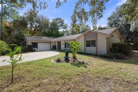 A home in Homosassa