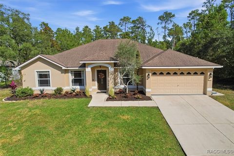 11 Heuchera Court E Homosassa FL 34446