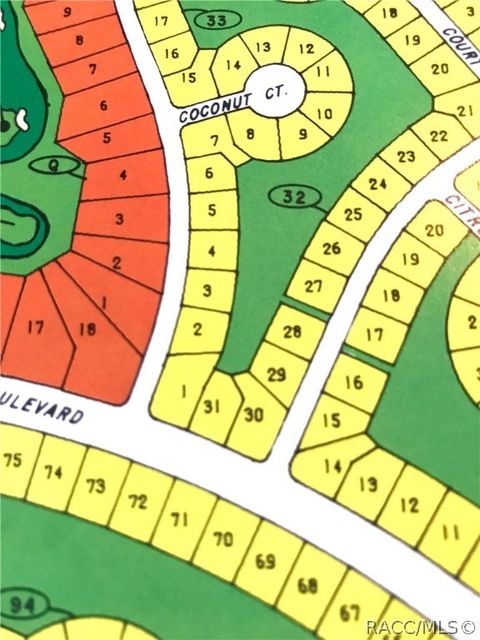 Vacant Land For Sale - 54 Cypress Boulevard<br/> Homosassa, FL 34446