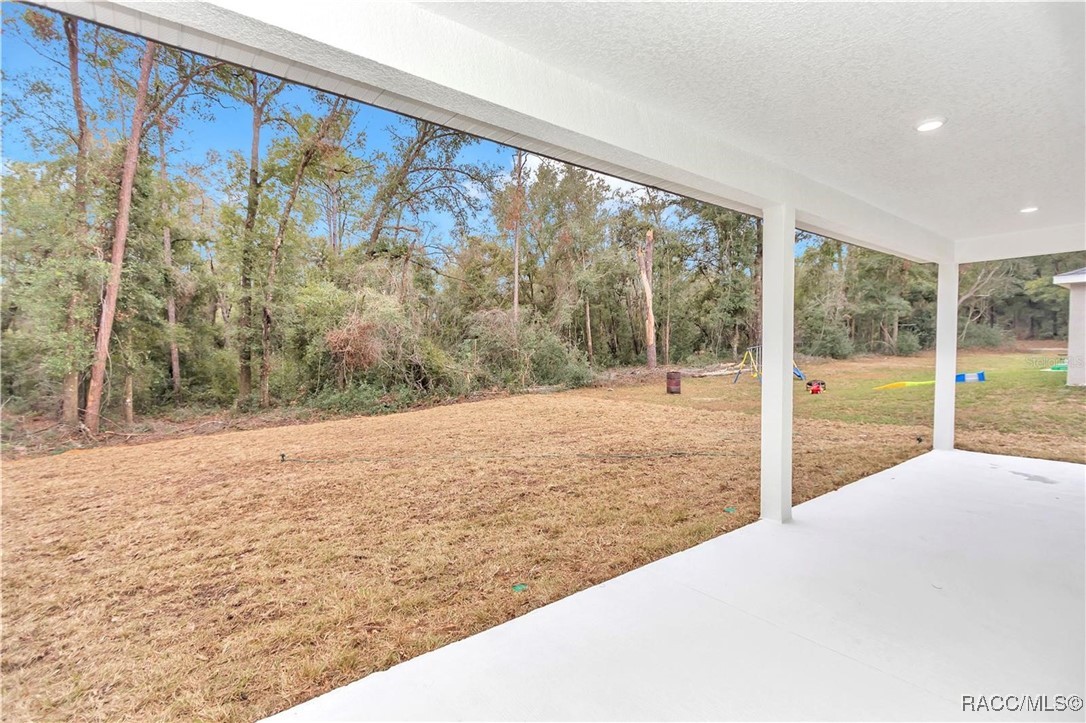 9916 N Fairy Lilly Drive, Citrus Springs, Florida image 3