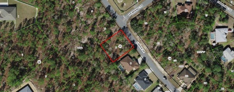Vacant Land For Sale - 115 Linder Drive<br/> Homosassa, FL 34446