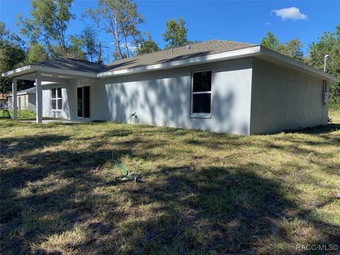 A home in Dunnellon