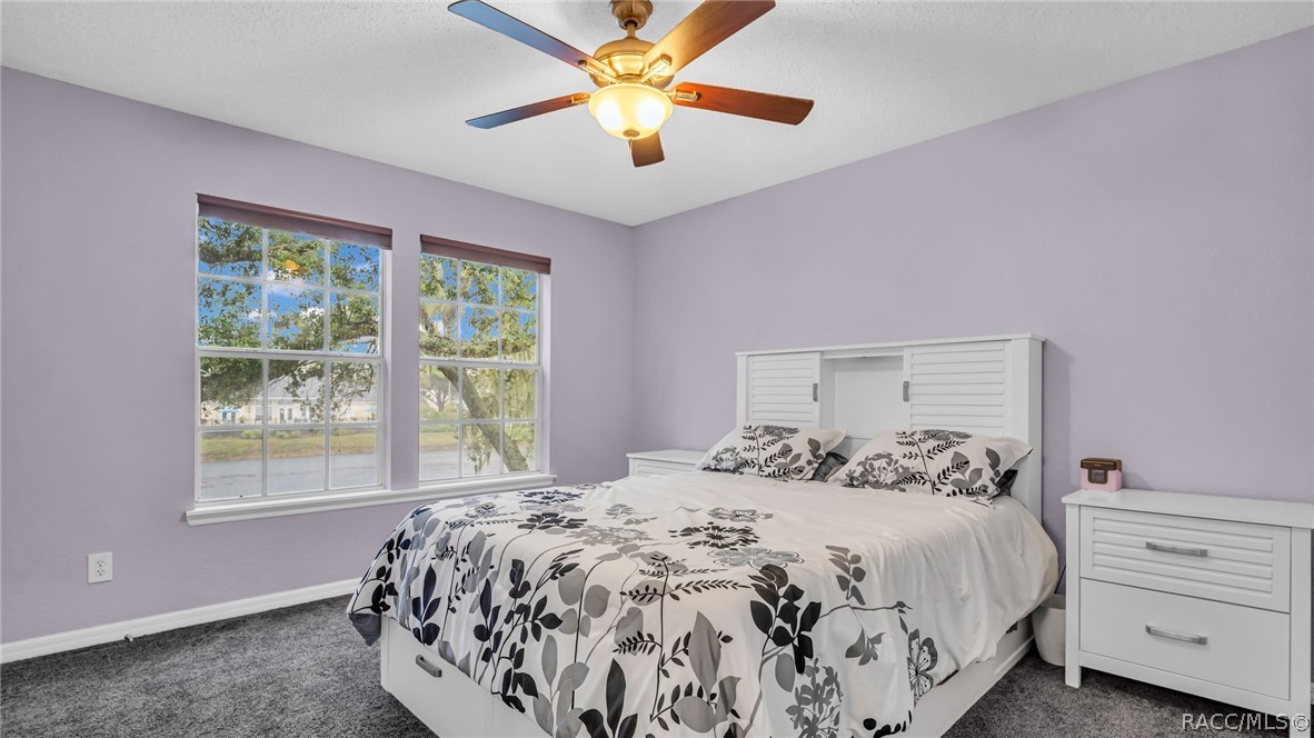 3261 Haviland Court #203, Palm Harbor, Florida image 21