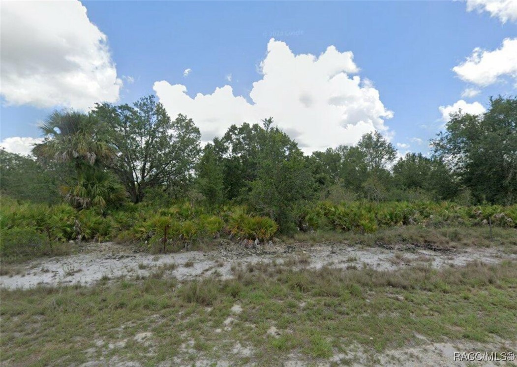 716 Tunney Street, Lehigh Acres, Florida image 1