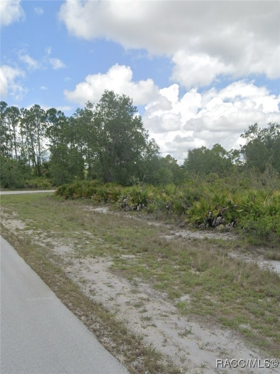 716 Tunney Street, Lehigh Acres, Florida image 3